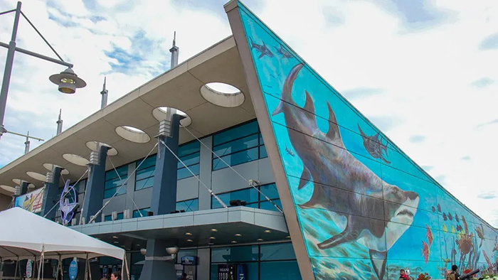 Newport Aquarium